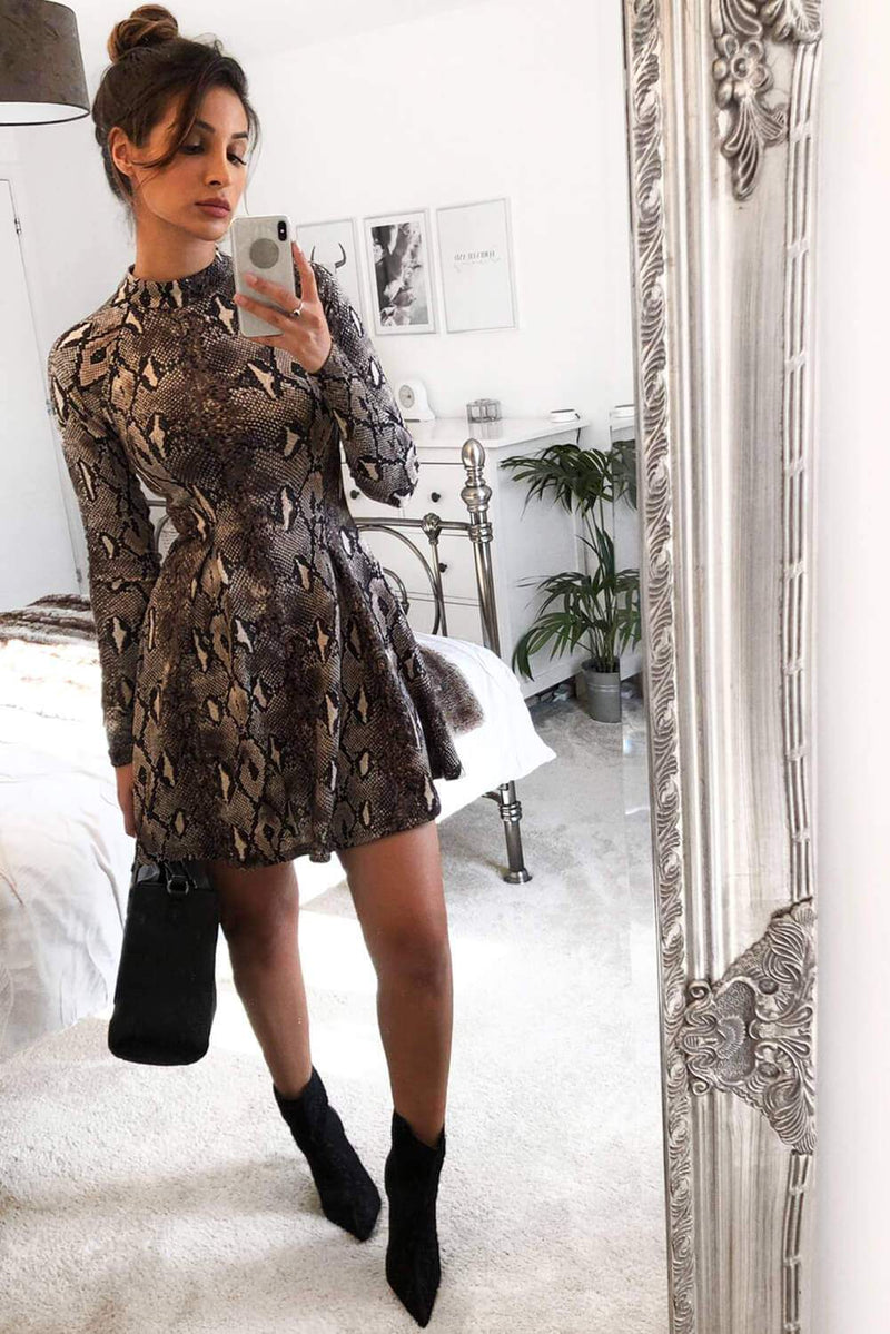 Snake Print Skater Dress