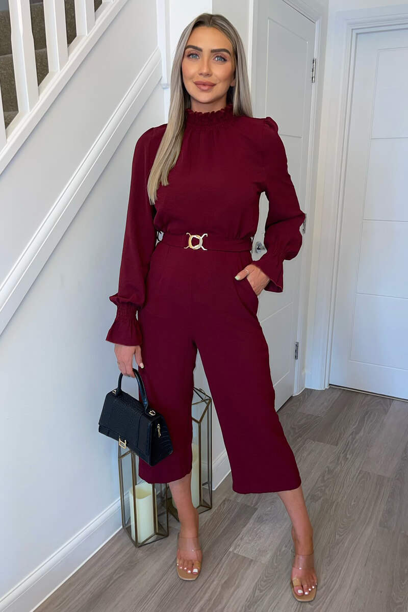 Wine High Neck Long Sleeve Belted Jumpsuit