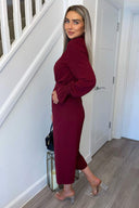 Wine High Neck Long Sleeve Belted Jumpsuit