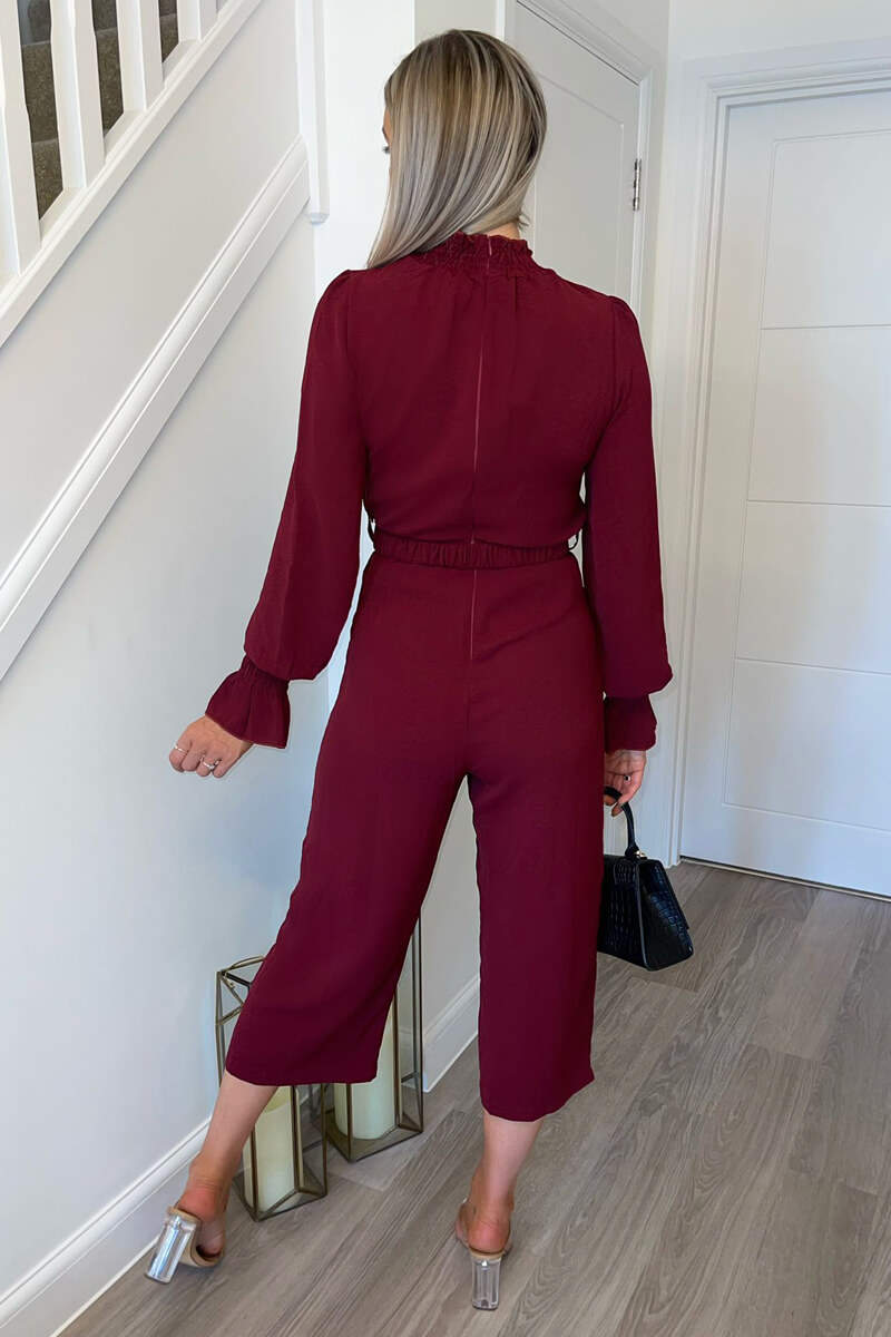 Wine High Neck Long Sleeve Belted Jumpsuit