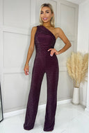 Plum One Shoulder Shimmer Jumpsuit