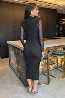 Black High Neck Long Sleeve Ruched Bodycon Mesh Midi Dress