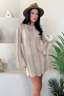 Biscuit Long Sleeve Crochet Mini Dress