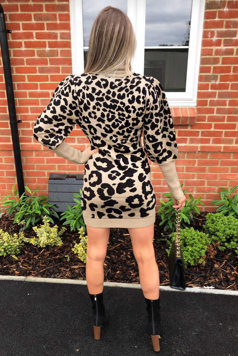 Stone Animal Print Knitted Dress