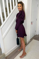 Plum Puff Sleeve Skater Dress