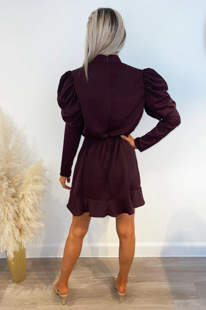 Plum Puff Sleeve Skater Dress