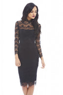 Lace Long Sleeve Bodycon
