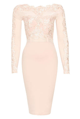 Blush Lace Detail Long Sleeved Bodycon Dress