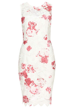 Cream and Pink Floral Lace Bodycon Dress