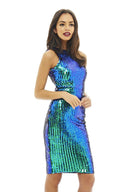 Sequin Covered Bodycon Dress