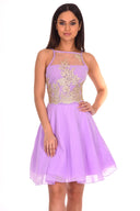 Lilac Mesh Gold Embroidered Skater Dress