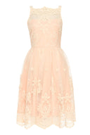 Nude Lace Detail Dress With Full Skirt