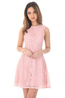 Pink Lace Detail Skater Dress