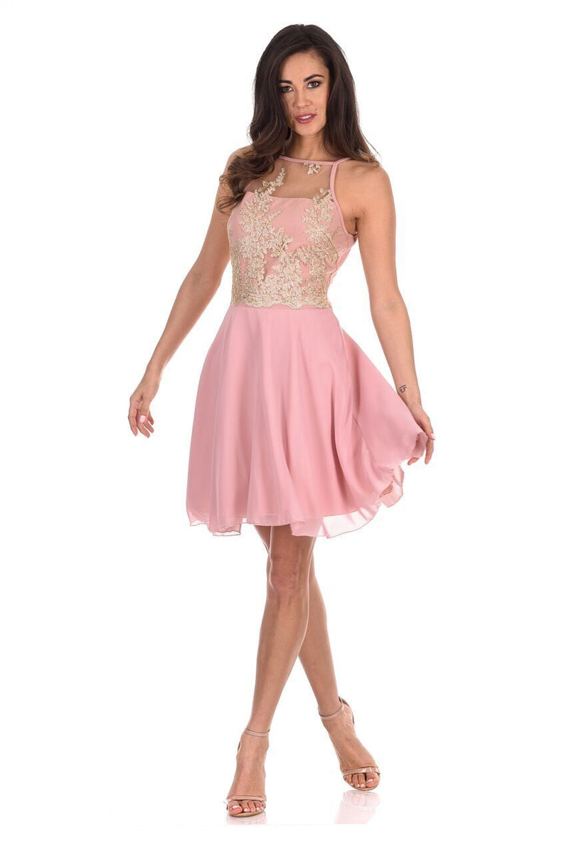 Pink Mesh Gold Embroidered Skater Dress