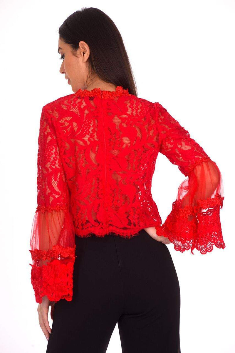 Red Sheer Lace Long Sleeve Top