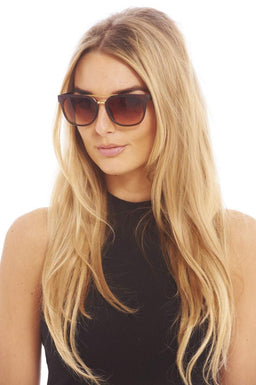 Brown Wayfarer Sunglasses