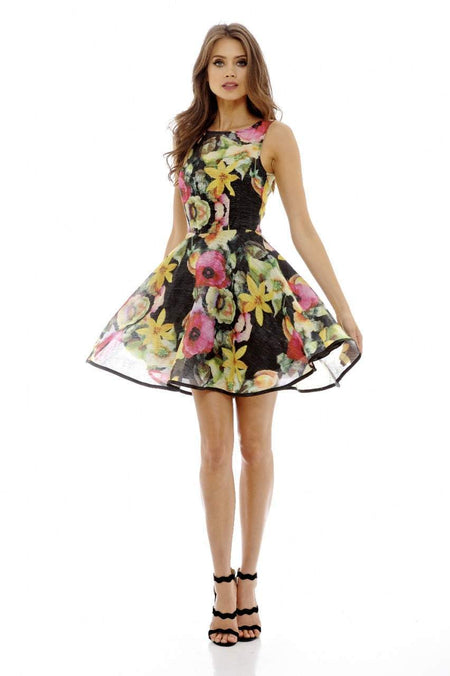 Floral Midi     Skater Dress