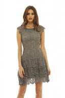 Grey Capped  Sleeve  Crocheted  Lace Dress