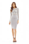 Grey Lace and Mesh Midi Dress