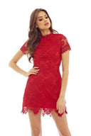 Red High Neck Lace Dress
